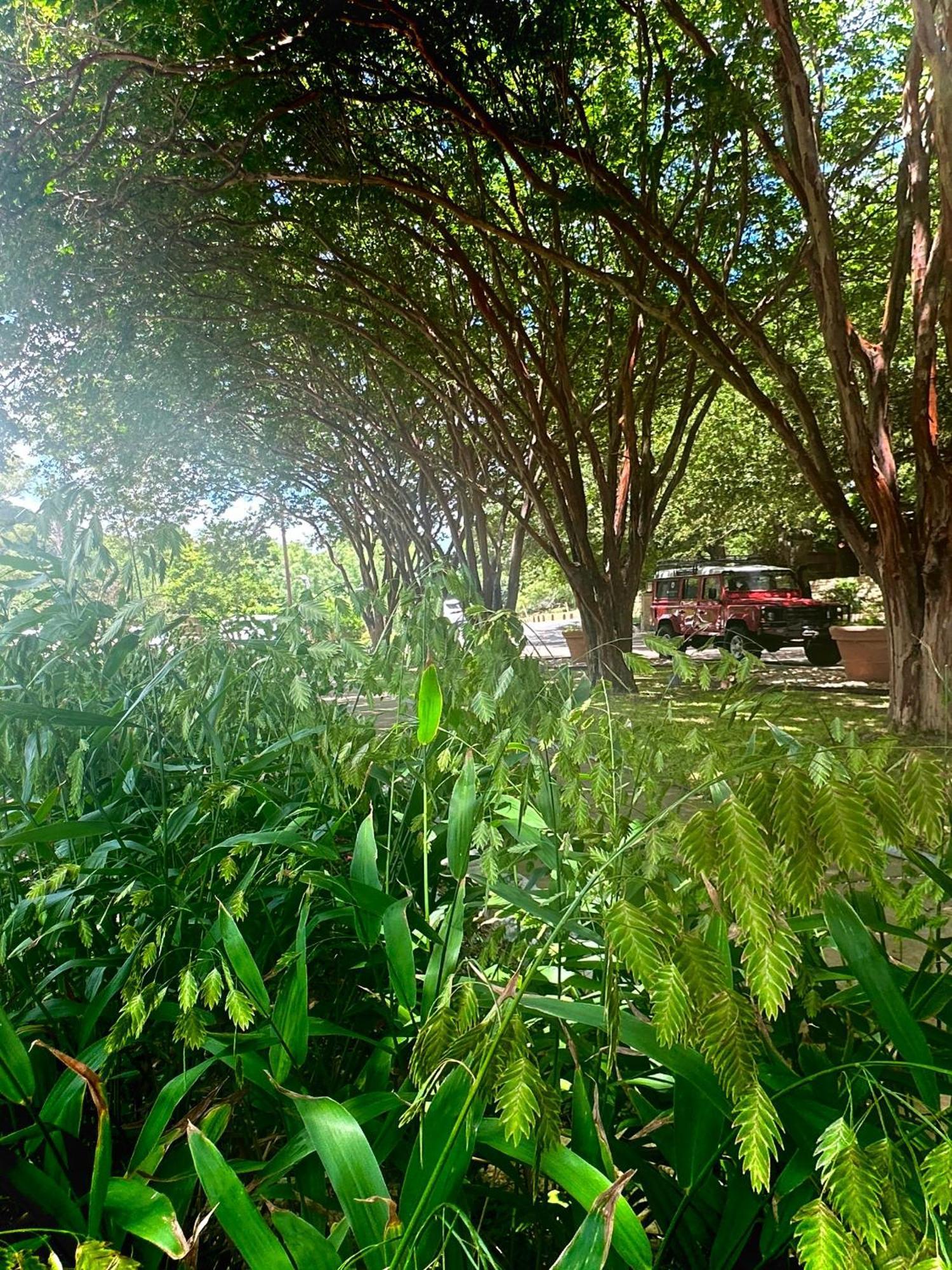 Lake Austin Spa Resort Bagian luar foto