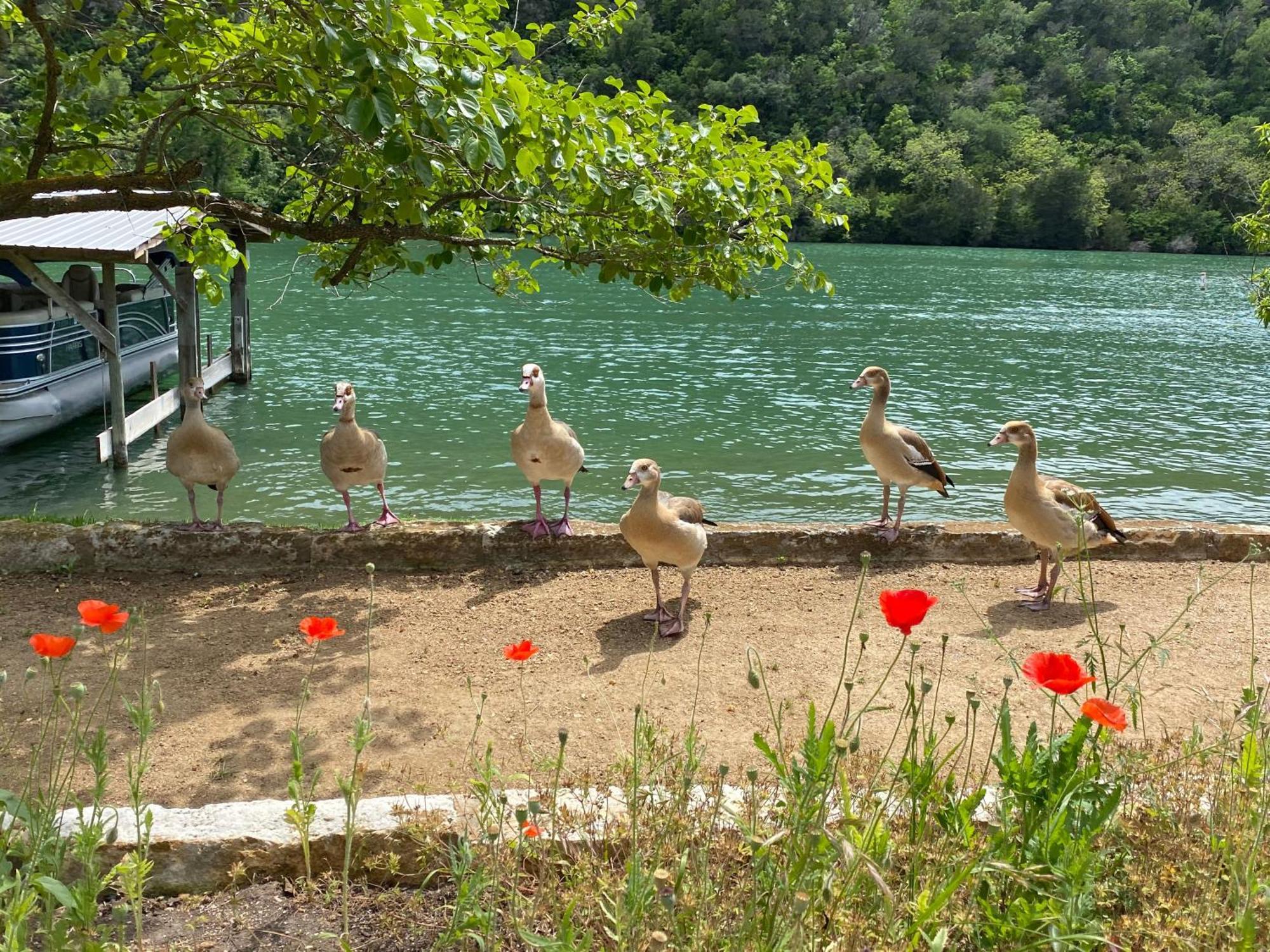 Lake Austin Spa Resort Bagian luar foto